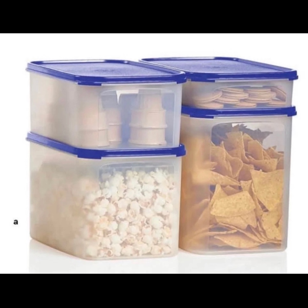 Tupperware snack center modular mates